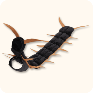 Black Cat Centipede Costume
